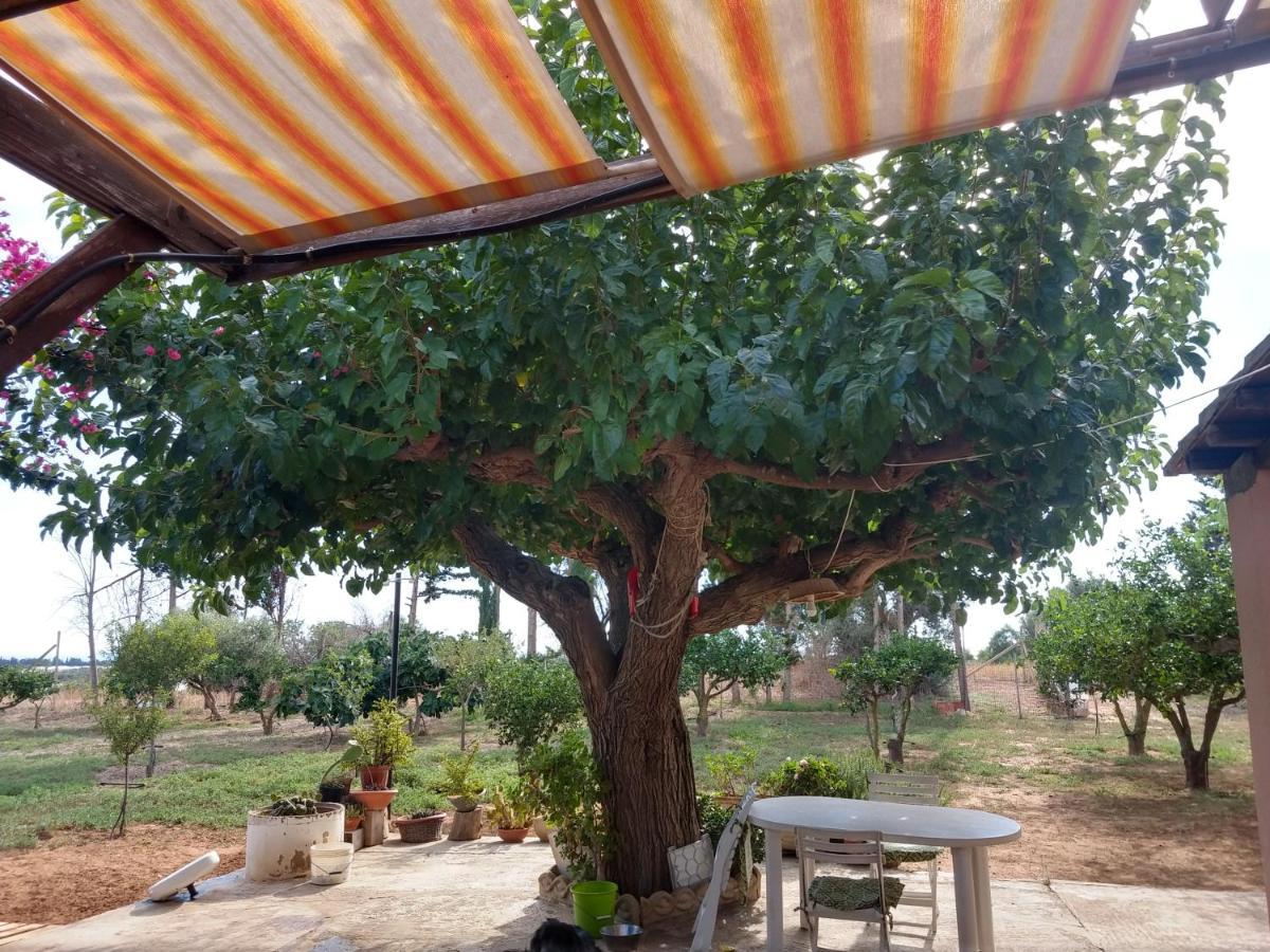 Il Gazebo Bed & Breakfast Scoglitti Exterior foto