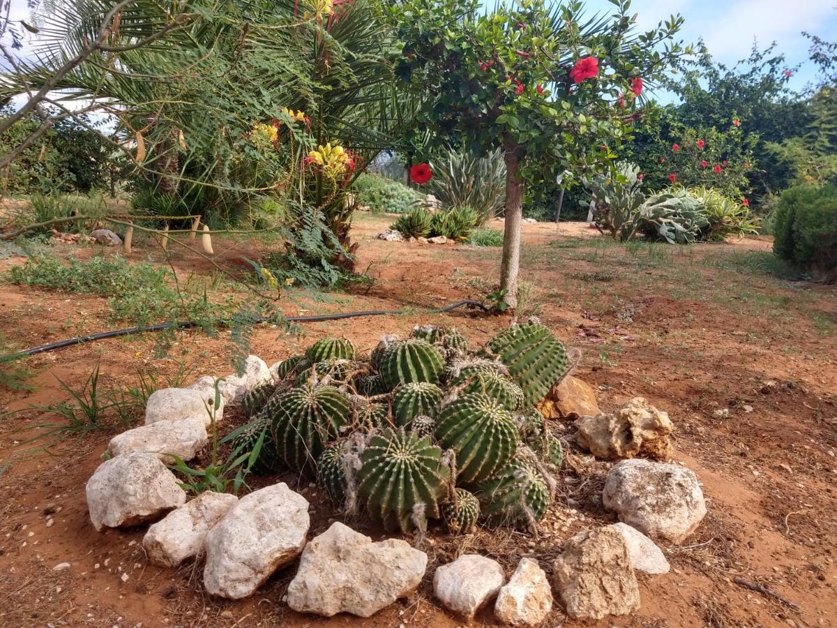 Il Gazebo Bed & Breakfast Scoglitti Exterior foto